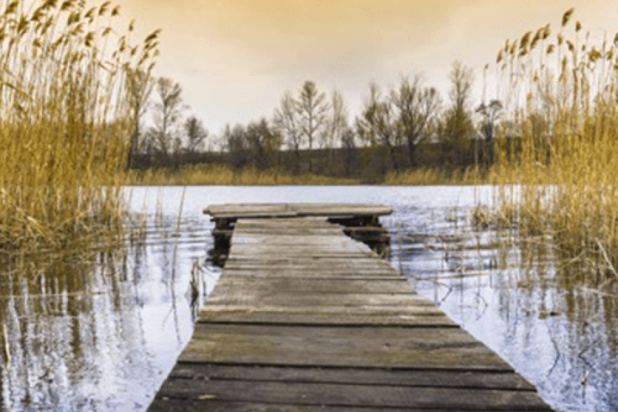 massage therapy kitsilano