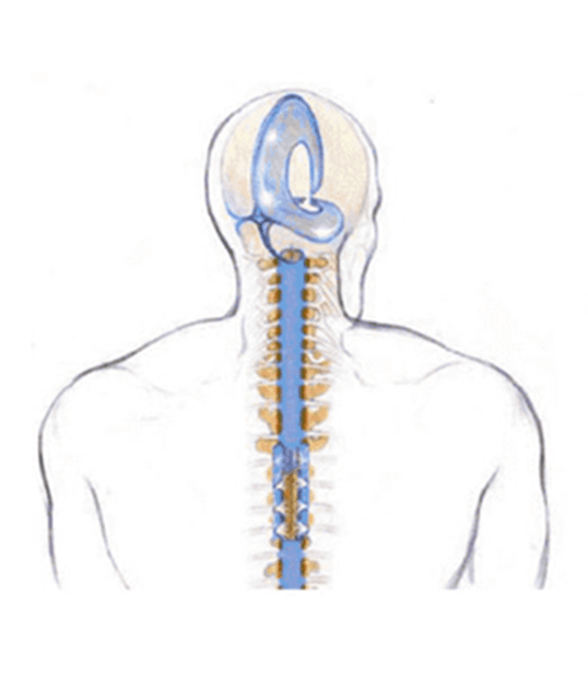 Craniosacral Vancouver